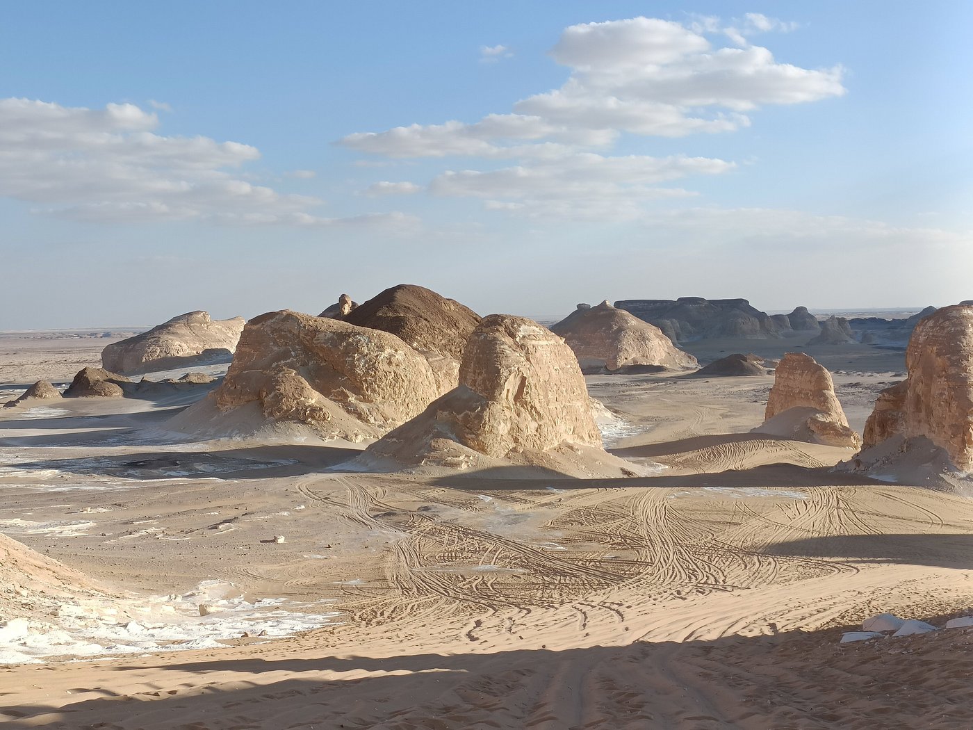 Bahariya desert Safari White & Black desert (Over Day)