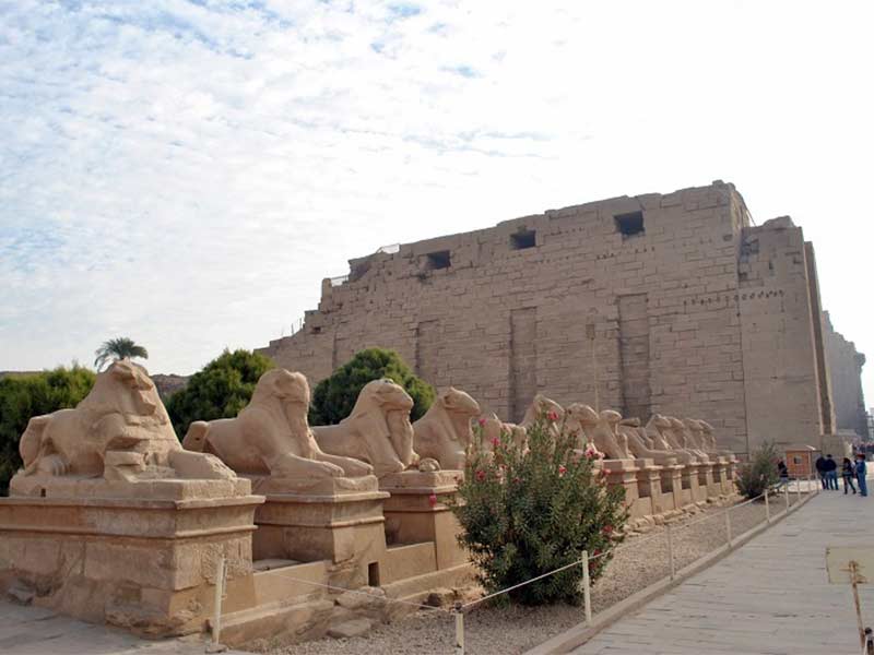 Enjoy Nile Cruise Tour , Aswan & Luxor