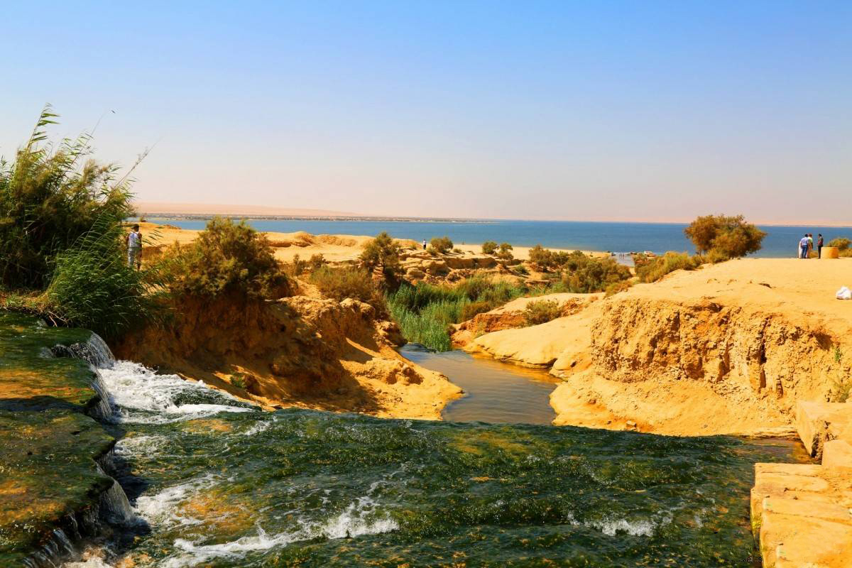 Overnight Camping Trip to El-Fayoum Oasis from Cairo, 2 days.