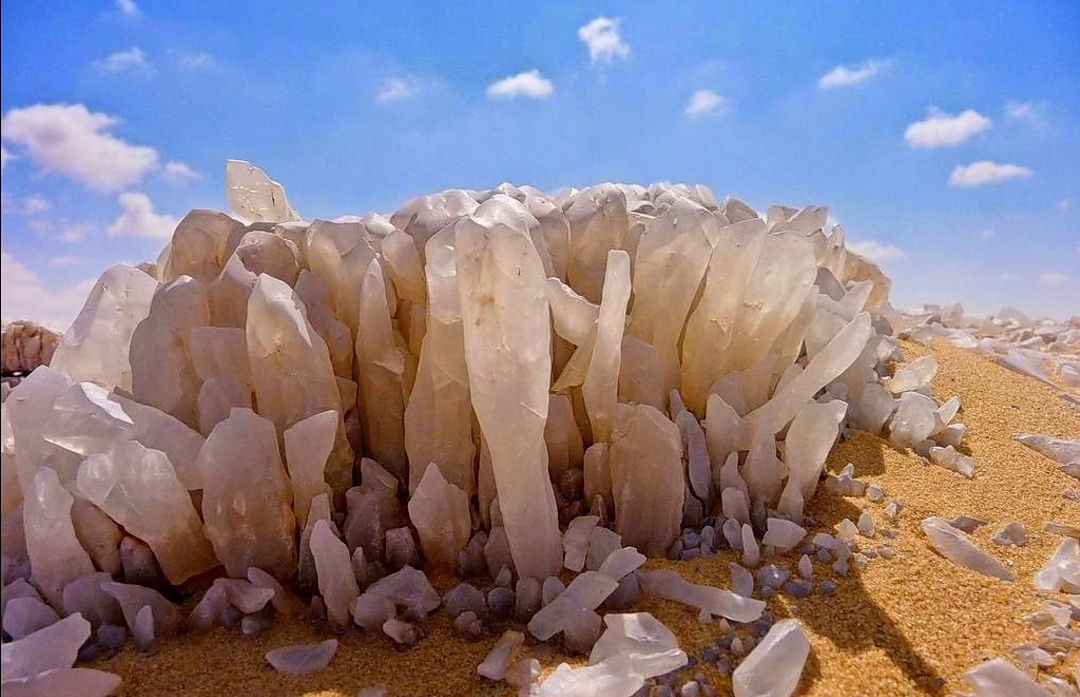 Bahariya desert Safari White & Black desert (Over Day)