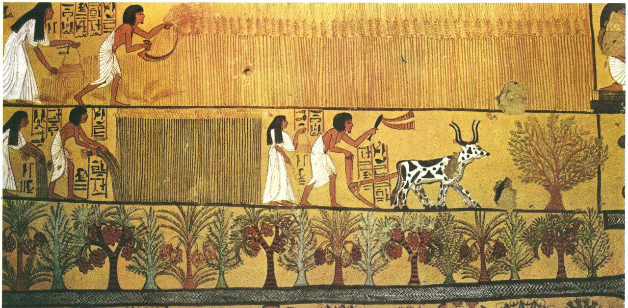 Agriculture in Ancient Egypt - Explore Egypt Tours