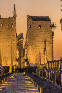 Amazing Group Day Tour to Luxor from Safaga Port 4 sites