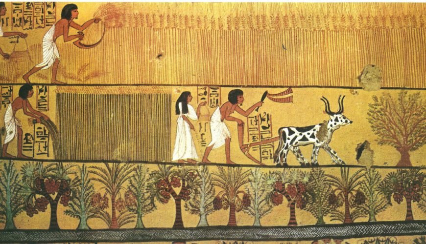 Wonderful agriculture in ancient Egypt 4 Facts about it.
