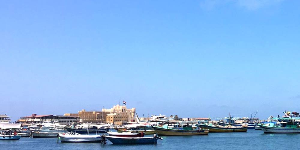 Amazing Alexandria Discovering from Alexandria Port