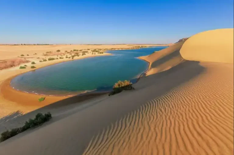 Fayoum Oasis Egypt