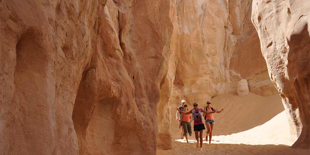 Deserto de Sinai