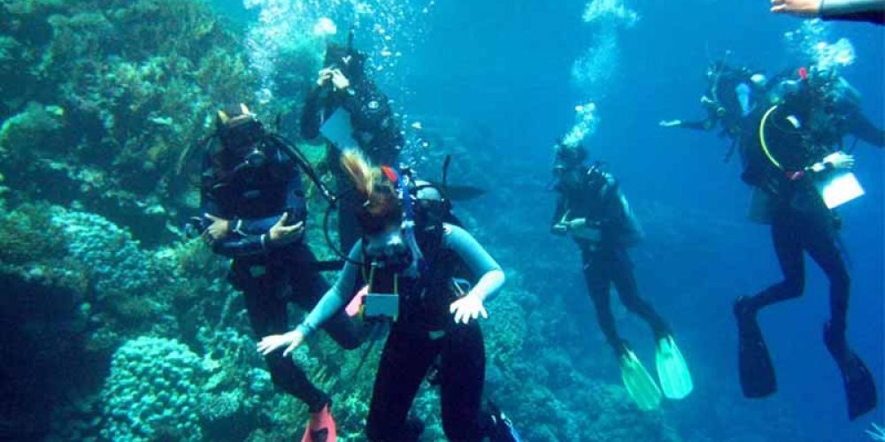 Ras Mohammed National Park Day Tour from Sharm el Sheikh Port 1 Day