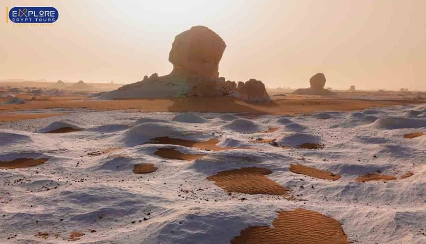 Amazing Safari in white desert: A Celestial Canvas in Egypt