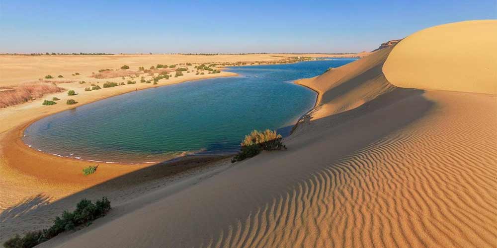 Fayoum oasis