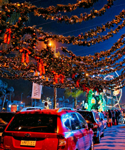 Festive holiday lights over a street in Egypt at night